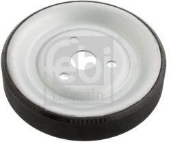 Febi Bilstein 102466 Fulie, pompa apa