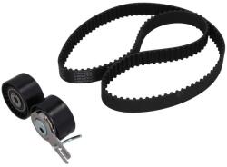 KAMOKA Set curea de distributie KAMOKA 7001035 (7001035)