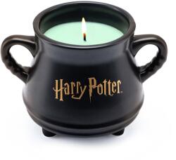 Fragrance and Style Harry Potter Witch´s Cauldron 230 g