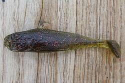 Realistic Shad Gumi Realistic Shad Matusiak Jazgarz 7cm No. 045 (J7 045)