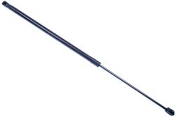 Denckermann Amortizor portbagaj DENCKERMANN G110455 (G110455)