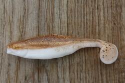 Realistic Shad Gumi Realistic Shad Matusiak Láng 7cm No. 013 (P7 013)