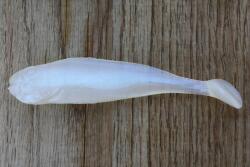 Realistic Shad Gumi Realistic Shad Matusiak Jazgarz 7cm No. 028 (J7 028)