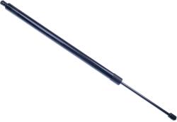 Denckermann Amortizor portbagaj DENCKERMANN G110342 (G110342)