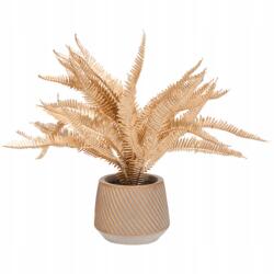  Műnövény, arany páfrány, kerámia cserépben, 25cm (8720088255971)