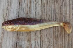 Realistic Shad Gumi Realistic Shad Matusiak Jazgarz 7cm No. 006 (J7 006)
