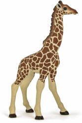 Papo Figurina Pui Girafa (50100) Figurina