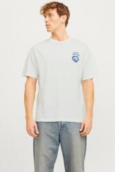 JACK & JONES Jack & Jones, Bő fazonú mintás póló, Törtfehér, Kék, L (12269384-CLOUD-DANCER-L)