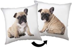 Home Kutyás Bulldog párna, díszpárna 40x40 cm (JAJFK039182)