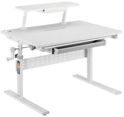 Ergo Office gyermek íróasztal er-483, állítható, szürke, 900x600mm