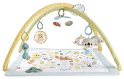 Mattel Salteluta De Activitati (MTHRB15)