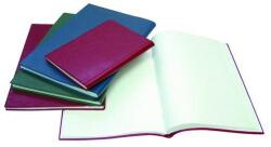  Beírókönyv A/4 pvc 200 lapos kockás (01.00639)