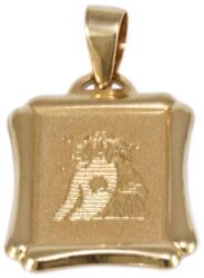 Ékszershop Matt SZŰZ lap arany medál (1331847)