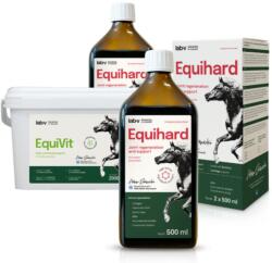 LAB-V Horse Care Box - Set cadou pentru cai