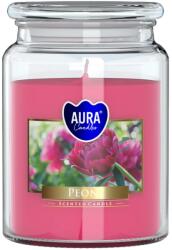 BISPOL Ароматна свещ Bispol Aura - Peony, 500 g (snd99-157)