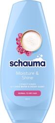 Schauma hajöblítő balzsam Moisture&Shine