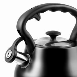 PROMIS Kettle 3.0 L, ANDREA, matt black, black handle (TMC21C)