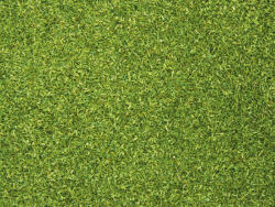 Noch Szórható fű 42g (08410) (08410)