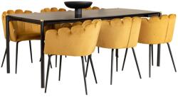  Étkezőgarnitúra Dallas 5031