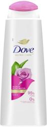 Dove sampon 400ml aloe vera rózsavízzel Ks