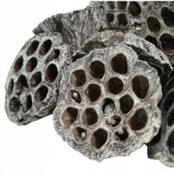 Luk Lótuszvirág, szárított, 6-8cm, fehérített, dekorációhoz (HURT-2023)