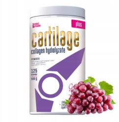 Noblepharma Noble Pharma Cartilage Plus 500g ízületek inak haj bőr körmök térd (CARTILAGE 500G)