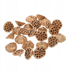 Luk Arany lótuszvirág, szárított, 8-10cm, 25db (HURT-2015)