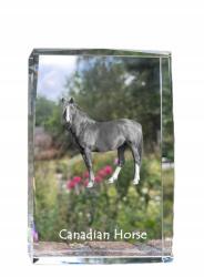 Art-Dog Kanadai ló fotó, kristály, 18×12×4cm, emlék, optikai kristály (5055882468030)