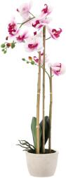 BackHomeLiving Floare artificială - Orchidă alb-roz - 70 cm (HID4771)