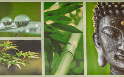 AS Buddha és naturál, öntapadós bordűr (AS31204-1)