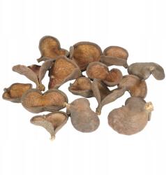 Luk Mandula, 15db szárított egzotikus termés, kompozíciókhoz, barna (LB11112)