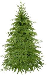 SPRINGOS Evergreen lucfenyő 120 cm (CT0175)