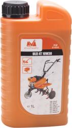 Evotools Ulei de Calitate Semi-Sintetic 10W30 (674035)