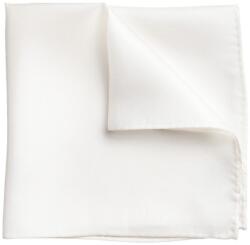 Charles Tyrwhitt Evening Silk Pocket Square (P41000)