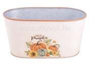 IRIS bádog kaspó ovál, tökök, krém narancssárga 23 x 12 cm (QX_IMPEX_KFT_081092) (QX_IMPEX_KFT_081092)