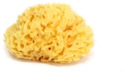 Okbaby OK BABY Mosószivacs 14