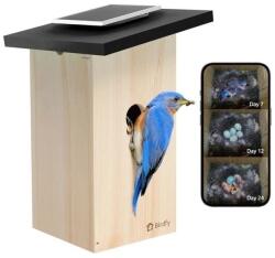 Birdfy Madáretető Kamerával, Ébenfa, AI Nélkül (EPPAMBNI8802110) - fizz