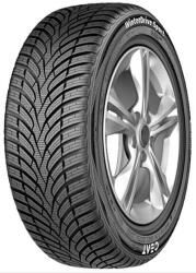 CEAT WINTER DRIVE SPORT [100] V XL 245/45 R18 100V