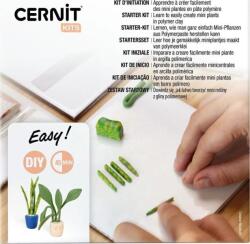 Cernit Starter Kit Полимерна глина (CEKIT002C)