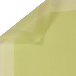 Valex Decor Keretes matt fólia ív 58 x 58cm, 20db - Világoszöld (GZ58-79)