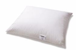 AMZ Exclusive Dream párna, 70×80cm, 90% libatoll (5903887143004)
