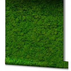MARBURG Tapet Licheni decorativi UTD Marburg 34864