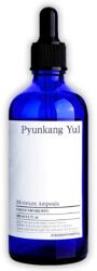 Pyunkang Yul - Moisture Ampoule 100ml