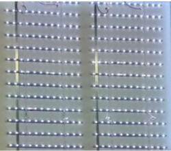 LEDvonal Merev LED szalag , 3031 , 12 led/m , 12W/m , hideg fehér (MZ66)