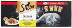 Sheba Adult Szárnyas Válogatás szószban Megabox 40x85g (DJ30L) - tenyesztoitap