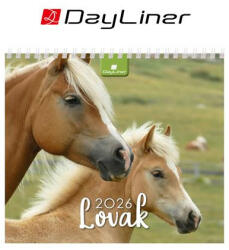 DAYLINER Naptár, asztali, álló, DAYLINER "Lovak (NAS5006U) - onlinepapirbolt