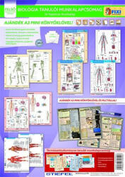 STIEFEL Tanulói munkalap csomag, 5 munkalap, 1 alátét, filc, STIEFEL "Biológia (VTMCS05U) - onlinepapirbolt