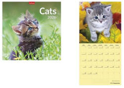 TopTimer Naptár, fali, TOPTIMER, "Cats (NKT09802U) - onlinepapirbolt