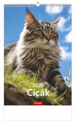 TopTimer Naptár, fali, TOPTIMER, "Cicák (NKT09411U) - onlinepapirbolt