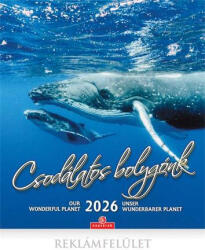 CSG Naptár, fali, CSG, "Csodálatos bolygónk (NCFNU10) - onlinepapirbolt